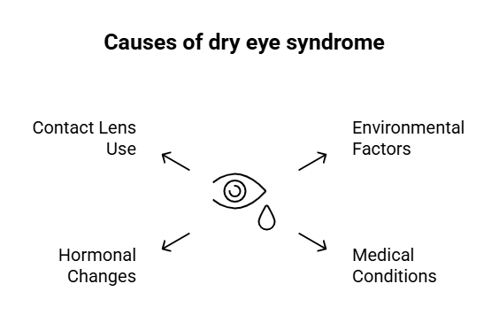 Causes of dry eye syndrome - visual selection
